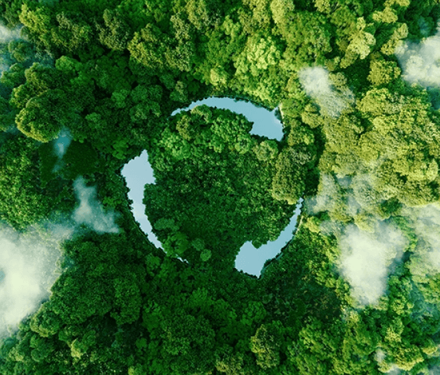 Carbon assets and carbon credit trading