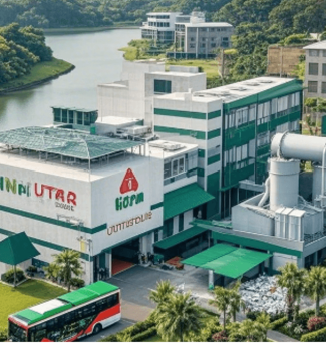 Jointly develop the second generation <br/> low tar gasification system